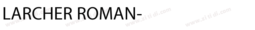 LARCHER ROMAN字体转换